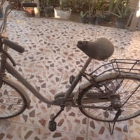 بسكليت • حجم ٢٦ • بكرلي