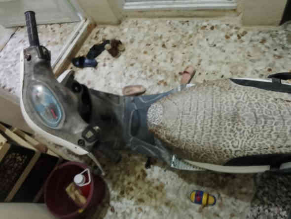 سلام عليكم ماكس منغولي دراجه مكينه نضيفه ناعمه دراجه هندر سلف عوزه شخاطه كهربائيات عوزهن ترتيب شلعه حلوه دراجه نضيفه خير من الله مكاني بغداد مدينه الصدر الشماعيه السعر 350وبيهه مجال رقم تليفون ***********
