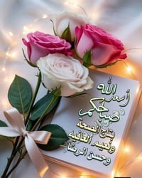 نهر الشيخ • الجرحى والشهداء • ٢٠٠م