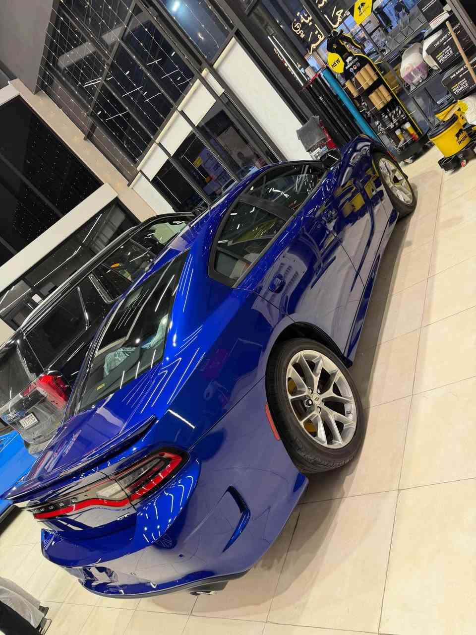 اللهم صلي على محمد والي محمد💙
دوج جارجر مديل 2020🧿
كفاله عامه خليجي 💙
السياره Gt لون مميز جويتي💙
رقم بصره بسمي تحويل 💙
مواصفات الGt المعروفه 💙
سعر السياره 285بيها مجال قليل جدا💙
ملاحظه :- بيع او مراوس بسياره كوري من مديل 2024 و فوك💙
للاستفسار :- *********** 💙
متوفر واتساب و سيم كارت 💙
مكاني السياره (( البصره)) البصرة, العراق
