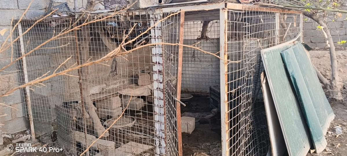 مكلف بلنشر
قفص دجاج للبيع الأبعاد ٣×٢ السعر ١٥٠  الف بيه مجال

مكانة ناحية الصقلاوية

لاستفسار ***********
