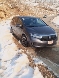 اوديسي • ٢٠٢٤ • ٧ راكب