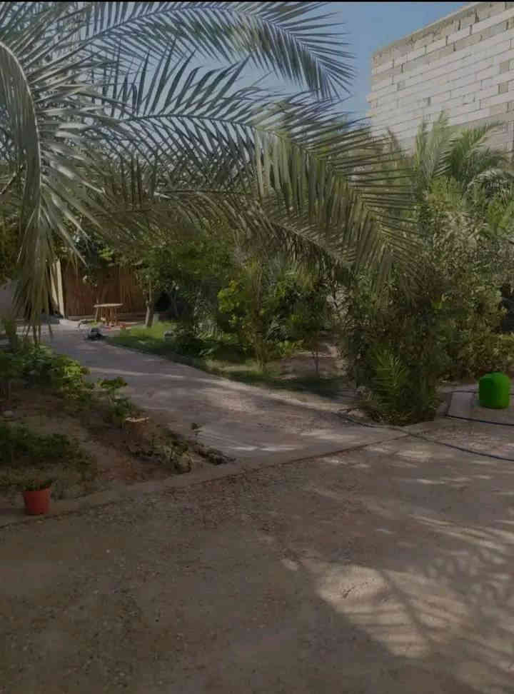 بسم الله الرحمن الرحيم اسعد الله اوقاتكم احبتي يتوفر لدينا بيت للبيع طابو زراعي عراقي تحويل مساحة 500 متر البيت قاطين يتكون من 4 غرف وديوان وصاله ومطبخ صحيات كراج وحديقة عنوان البصره ابو الخصيب مقابيل حي بغداد السعر 230 ***********.      ***********
