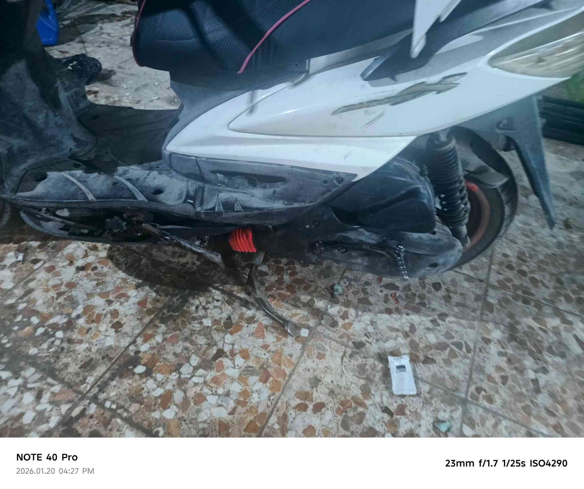 سكنز فحل ياباني ستان حساس قبق نفخ للبيع رايدهه ٣٥٠ مكاني الشعب شارع الصحه زراعي بيهه خربطه جانت مبيوكه ولكيناها ورجعتهه *********** اتصال واتس اب او خاص ماضده موجوده وتريشه بس البجم ماكو
