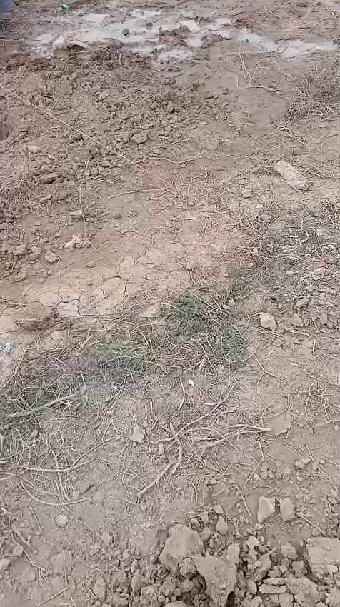 قطعه 1200 متر المكان مجمع الصادق مقابيل حي منصور الصيطره القديمه عبر سكه الحديد ماء كهرباء تبليط كلشي متوفر طابو زراعي سند25باسمي مداور مباشر للا ستفسار
الاتصال ع الرقم  ***********
