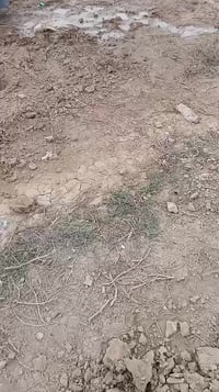 قطعه 1200 متر المكان مجمع الصادق مقابيل حي منصور الصيطره القديمه عبر س...