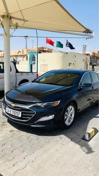 ماليبو • ٢٠٢٣ • باسمي البصرة