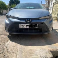 كورلا ٢٠٢٣ • رقم اربيل • كركوك