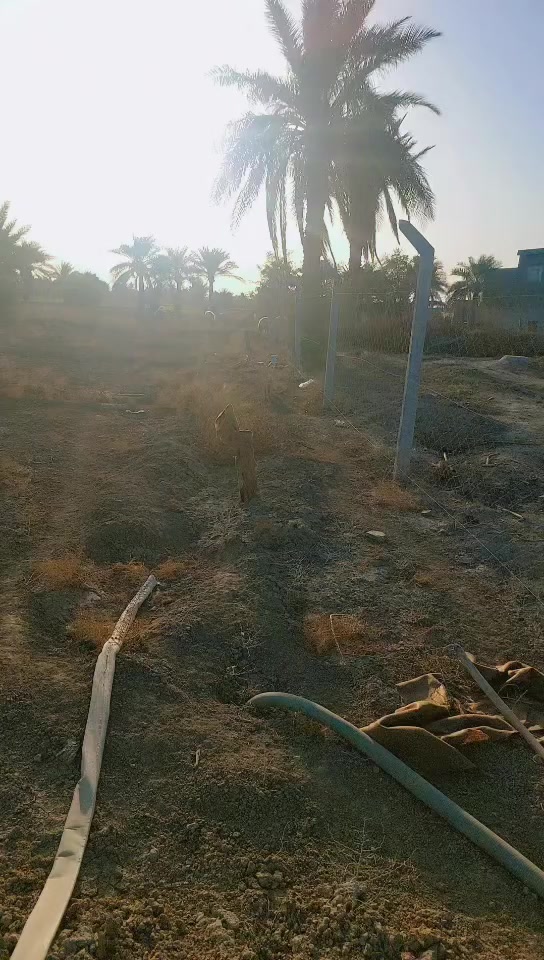 دونم البيع مساحته ١٨٠٠م طابو زراعي سند ٢٥ تحويل مباشر علا طريق حله نجف خلف جامعه بابل منطقه ربع سعود خدمات ماء اساله كهرباء تبليط عنه ٥٠ م وشارع  سبيس الاتصال بنا ***********او ***********حله 
مكتب عقار الاصدقاء قرب اسواق الاصدقاء
