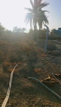 حلة • ١٨٠٠م • طابو زراعي