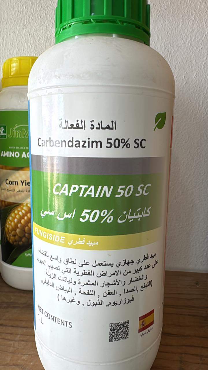 السلام عليكم اخواني الفلاحين والمزارعين 
بعد ان مّن الله تعالى علينا بنعمة الغيث يجب اتخاذ مجموعة من العمليات الزراعية لحقول الحنطة والشعير وهي 
1-بزل المياه المتجمعة في الحقول 
2-رش مبيدات فطرية بأسرع وقت ممكن لتلافي الإصابات الفطرية وخصوصاً الأصداء او التلطخ السبتوري او بياض السنابل الخ 
3-رش الحقول بالمنشطات وخصوصاً العناصر الصغرى وخاصة عناصر البورون والمغنسيوم والكالسيوم والزنك 
لزيادة عقد الأزهار والحصول على عدد حبوب اكثر 
4-رش الحقول بسماد عالي البوتاسيوم للحصول على حجم حبة اكبر ووزن نوعي عالي 
5-مراقبة الآفات الحشرية وخصوصاً المن حشرة السونة وزنبور الحنطة
اخواني هذا الأيام والمرحلة من عمر النبات لا تتحمل الإصابات او تأجيل المكافحة او تأخيرها لأنها فترة حرجة تحدد الناتج والحاصل وكل ما قدمته للحقل يمكن ان يذهب ويكون بدون فائدة لا سامح الله اذا أصيب الحقل بامراض فطرية او إصابة حشرية
مكتب الشمري الزراعي 
واسط/الزبيدية /شارع المعارض قرب السيطرة
هـ/***********
 م. علي حسين الشمري
