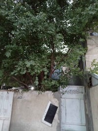 يتوفر بيت للايجار في الشرطة الخامسه شارع مجمع المصطفى التجاريه الايجار...