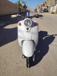 مصريه • فحل • مكفولة