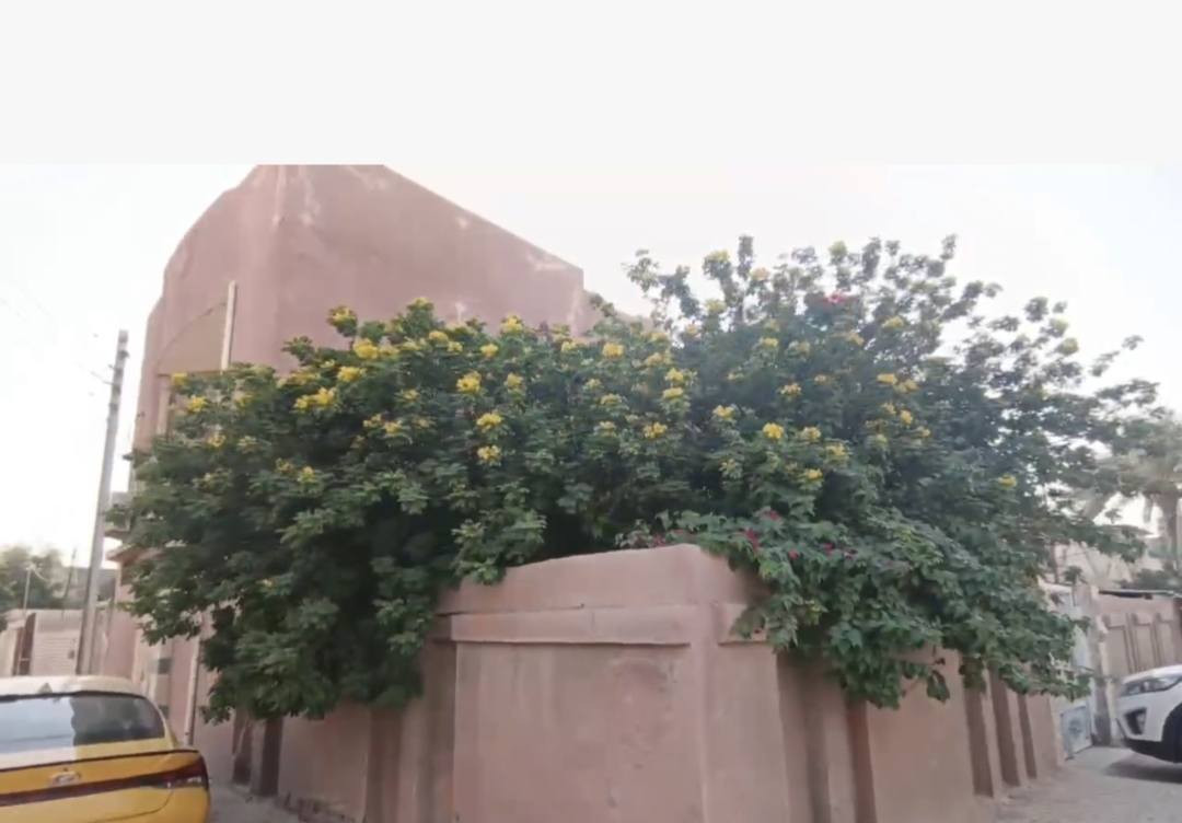 السلام عليكم الدار للبيع بناء قديم ركن  مساحه ٢٨٠ م حله حي الامير شارع الطب العدلي يبعد عن شارع نادر الرئيسي يبعد 500متر مجاور مدرسه المواهب  للاستفسار الاتصال ع الرقم التالي👇***********
