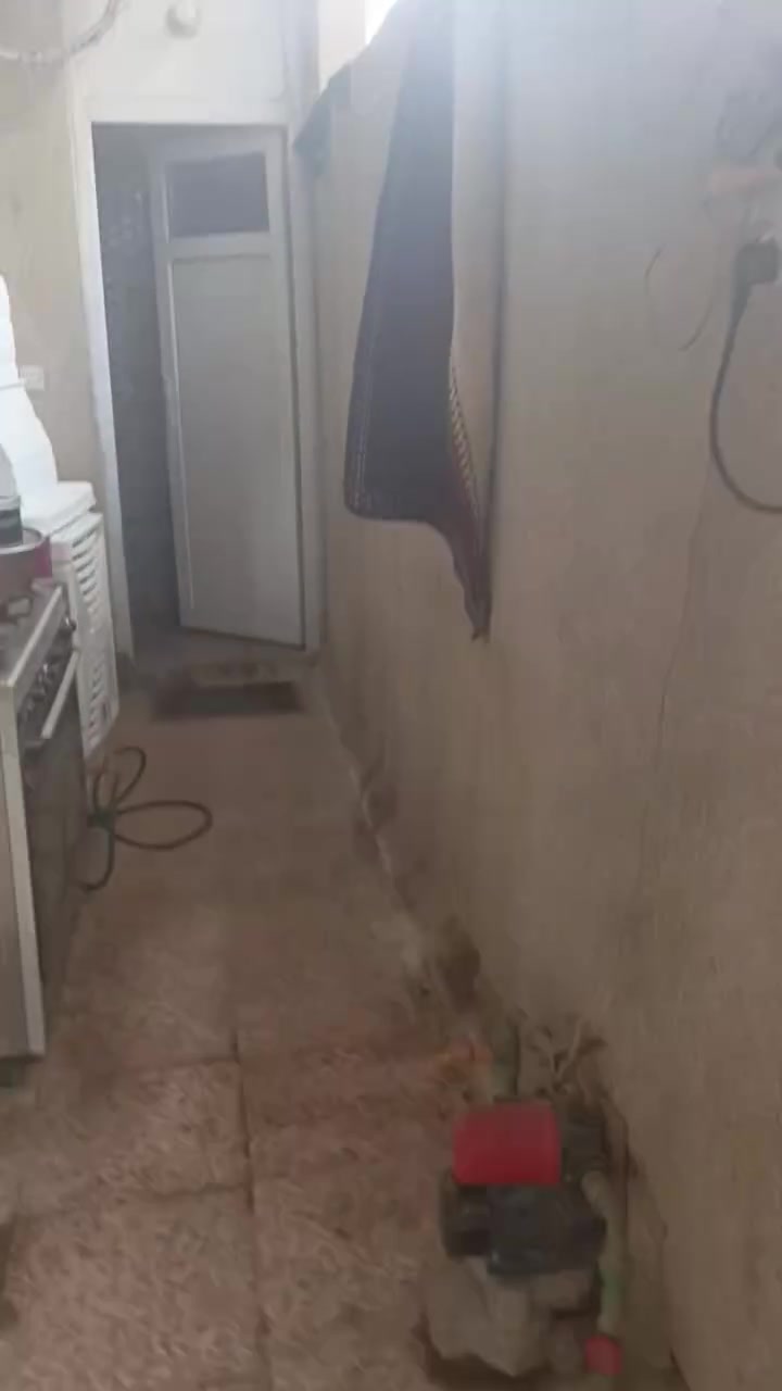 بيت للبيع يصلح سكن و يصلح حسينية المكان كربلاء شارع حوالي قرب مستشفى الكفيل عمود 1349 ثالث بيت بل فرع قريب عل شارع الاستفسار اتصل عل رقم ***********
