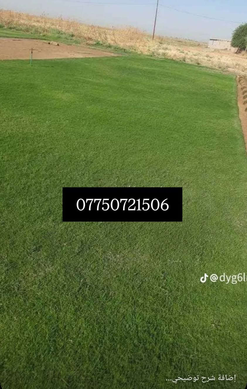 ثيل ديالى الطبيعي درجه اولى توصيل جميع المحافظات العراق بكافه الانواع لاتصال على الرقم تالي ***********او ***********
