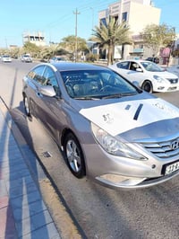 سوناتا • ٢٠١٤ • كشنات جلد