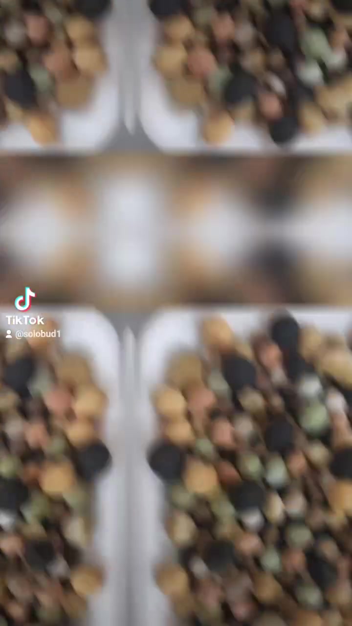 "من قلب المنصورة، نقدم لكم فخر إنتاجنا من الأسمدة العضوية المحببة والمخصبات البيولوجية. منتجات صُنعت بخبرة هندسية وتقنيات متطورة لضمان أعلى معدلات الامتصاص وتحسين خصوبة التربة. جودة تضاهي المواصفات العالمية لدعم استثماراتكم الزراعية."
​📍 موقع المصنع:
المنصورة | شارع قناة السويس
​📞 للتواصل والطلبات:
201011115655+
📱 واتساب: wa.me/201011115655
#سولو_نبتة #صنع_في_مصر #أسمدة_المنصورة #سماد_عضوي_محبب #أسمدة_حيوية #الزراعة_الحديثة #خصوبة_التربة #المنصورة #مصر


**إذا كنت صاحب هذا الإعلان وتريد حذفه لأي سبب، رجاءا أرسل رسالة إلى الدعم الفني**