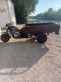 ستوته • ٢٠١١ • شاصي مكفول