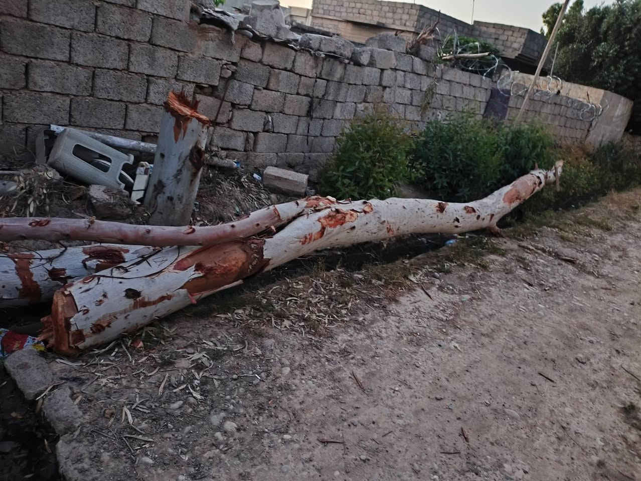 للبيع ماعرف شكد يسوه


**إذا كنت صاحب هذا الإعلان وتريد حذفه لأي سبب، رجاءا أرسل رسالة إلى الدعم الفني**