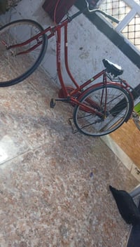 باسكل • نظيف • سعر مناسب