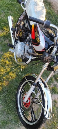 موديل ٢٣ • فول مكفوله • اوراق كامله