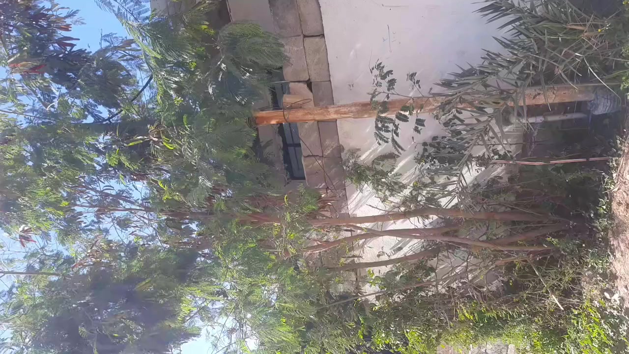 السلام عليكم...  
 بيت للايجار طابقين الموقع ٧نيسان غرفة نوم واستقبال ومطبخ وحمام وتواليت منفصل الي يحب استفسار يراسلني خاص او يتصل ع ***********
