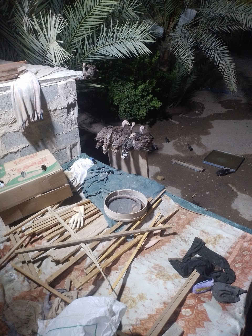 فسيفس عدد ٦ شلع اب ١٠٠ بيها مجال للشراي مكاني تكريت ***********
