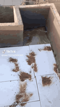 تطبيق شتايكر مع زفت وفانكوت وفنين كرسته وعمل المتر ب 14 الرقم واتساب خابرني وبالخدمه ***********
