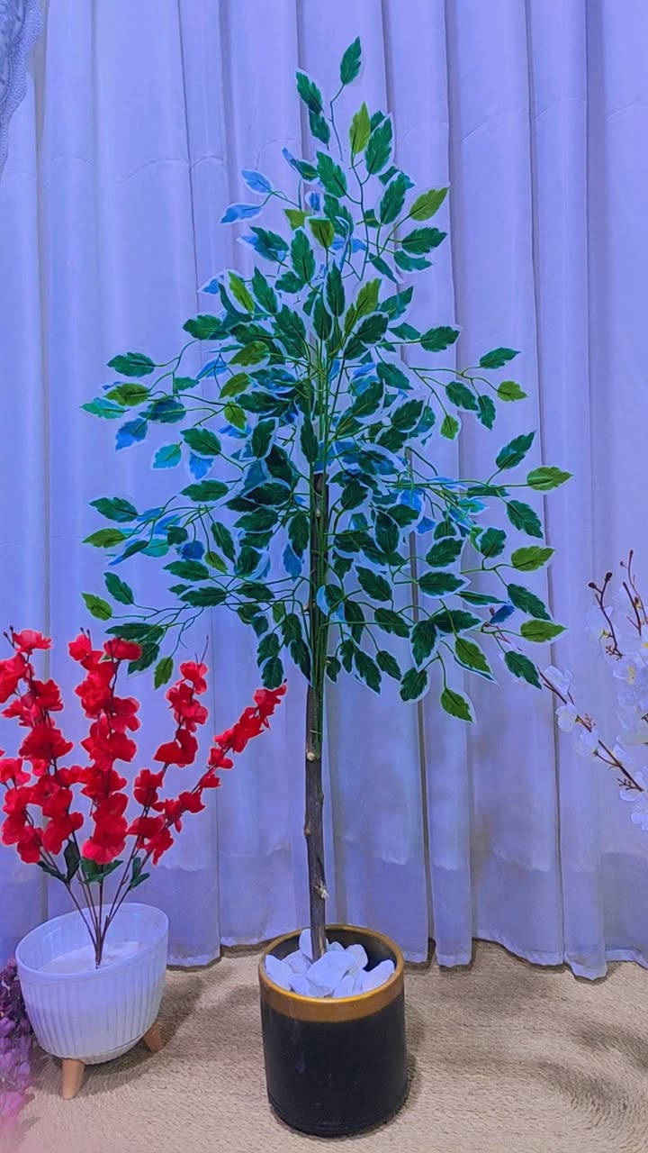 اشجار ارتفاع 110 سم السعر ب20 الف فقط 
سارع بالحجز 
والله جاي يبيعونها 40 و 35 الف بس احنا نبيع بأسعار الجمله 
واذا عدك مول مجمع نكدر نوفرلك جمله وتطلع الشجره بهذا الارتفاع و الضخامه تطلع عليك ب15 الف 
للحجز والاستفسار مراسلة البيج


**إذا كنت صاحب هذا الإعلان وتريد حذفه لأي سبب، رجاءا أرسل رسالة إلى الدعم الفني**