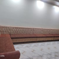 تخم قنفه للبيع سعر 250 وبي مجال بسيط اتصال عل الرقم 07781788639
