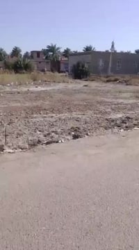 اسديناويه • ٣٠٠م • زراعي