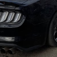 زوج ويلد • أصلي • النجف