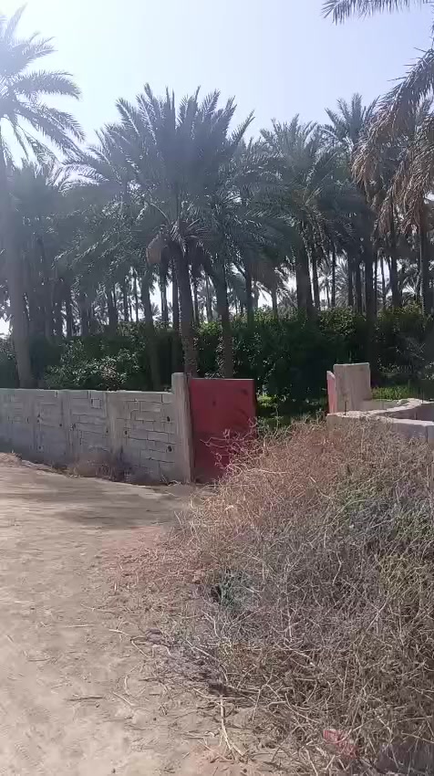 السلام عليكم
فرصة استثمارية رائعه للاستفسار على الرقم ***********
