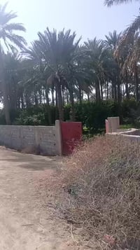 العزيزية • ٤٥٠٠٠م • فرصة استثمارية