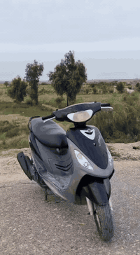 دراجه ماكس قجمه البيع الدراجه نضيفه صارلي شهر من نزلته من الحاويه دراجه شلعه ومعدل بوشه 49
رقمي ***********
