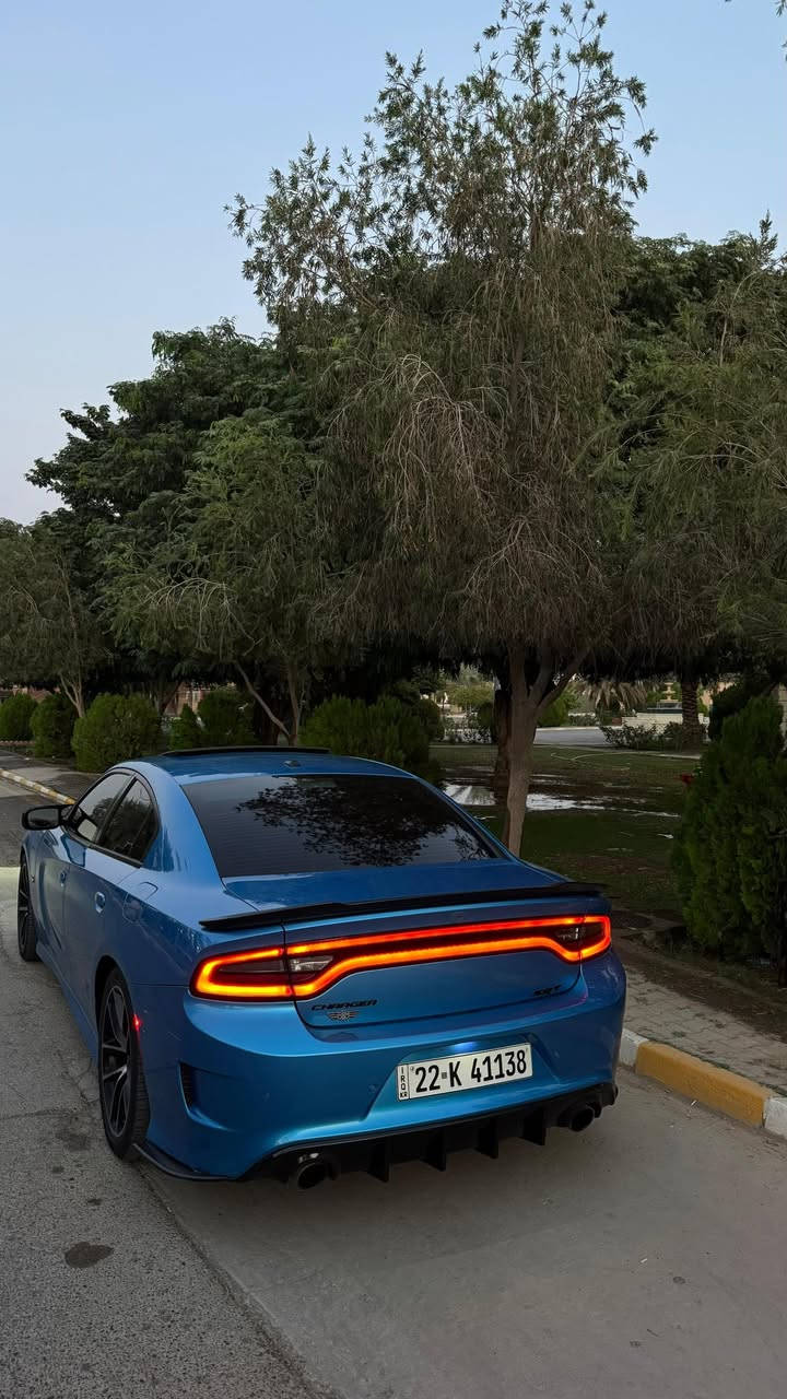 الوحش للبيع  ♥️
دوج جارجر سكات باك . Scat Pack . 
الموديل 2018 . (خليجي ) . وكالة هارلم. 
المحرك : SRT . V8 . 6.4L .
العداد : 66.000 km  
بيهه باب خلفي وجاملغ خلفي  صبغ وبيهه بارد 4 اصابع بل بنيد 
. المواصفات 
* مكابح رياضية (برمبو) . 
* لايت LED . 
* فتحت سقف (سلايد) . 
* كاميرا خلفية . 
* امكانية التحكم بوضعيات المقود كهربائيا . 
* كزوز سستم . 
* حساسات خلفية . 
* ويل قياس 20 أنج 
* سستم صوت ALPINE . 
* تشغيل عن بعد . 
* مقاعد رياضية من الجلد الفاخر . 
* ذاكرة لحفظ وضعيات الجلوس (ميموري) . 
* المقاعد الأمامية تبريد وتدفئة . 
* المقاعد الخلفية تدفئة . 
* نظام خرائط GPS . 
* شاشة كبيرة قياس 8.4 أنج اوپشنات SRT 
* تدفئة ستيرن . 
* كير شفتر بالستيرن . 
* جناح خلفي . 
* بلوتوث تلفون . 
* محدد سرعة . 
سعر 245 وبيهه مجال 
رقم اربيل تحويل ثاني  وهذا  رقمي  ***********، واتمنى الميعرف بسعرها يترك كلمة طيبه
