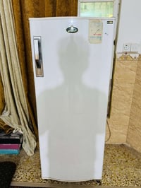 بابل القاسم • كريازي • شغالة