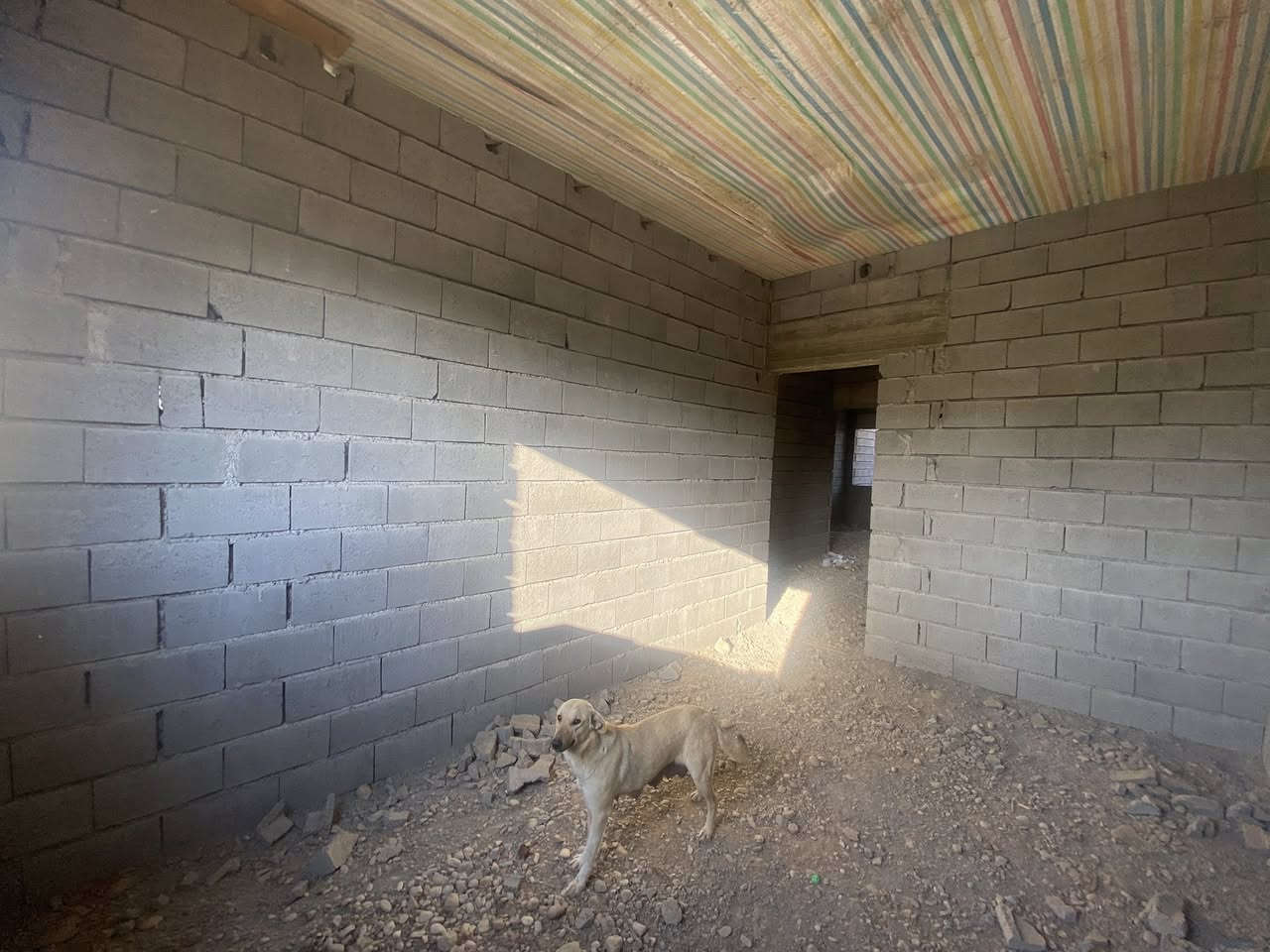 بەناوی خوای گەورە
ئەم. هەیكەلە بۆ فرۆشتن
كەلار.  گەڕەكی حەمرین

🟣ڕوبەری 140 م 
ڕولەسلێمانی
نزیك لەجادەو خەدەمات

 🟢دوو نوستن
🟢هۆڵێكی گەورە
🟢مەتبەخ
🟢میوان
🟢مشتەمەلات
🟢دەرەج خارجی
🟢حەوشی پشتەوە

‏‎🟢بۆ زانیاری زیاتر یان زانینی نرخ 
‎پەیوەندی بەم. ژمارانەی خوارەوە بكە
***********📞📞📞☎️
***********📞📞📞☎️

🍂🍂🍂🍂🍂🍂🍂🍂🍂🍂🍂🍂🍂
‏‎یان. سەردانی نوسینگەكەمان بكەن
‏‎كـەلار سـەرجـادەی كـفری

‏🏩‎نزیك نەخۆشخانەی شاری پزیشكی گەرمیانی ئەهلی
‏‎🚘🚘تەنیشت بەنزینخانەی شـار 
‏‎
       نـوسـینـگەی كـوردسـتان

🌹🌹🌹🌹🌹🌹🌹🌹🌹🌹🌹🌹🌹
***********
***********
‏‎بۆنێوەند گیری ڕاستەقینە
