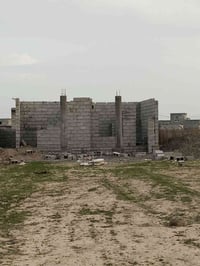 هيكل • ٢٥٠م • العلم