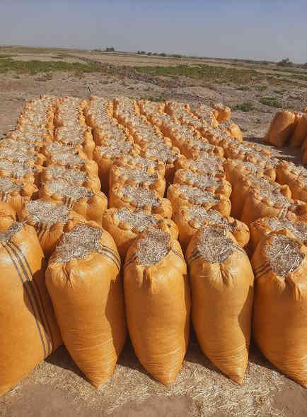 تخفيضات وبأنسب الاسعار
وتوصيل مجاني يوجد تبن
 نضيف + ابيض + الكبسه مال الكله 
مال الحاصوده الفوك + يوجد توصيل
 ديالى + بغداد + واسط الكوت
 بابل الحله + كربلاء + نجف
 ديوانيه + السماوه للاتصال والاستفسار
  متواجد واتساب وماسنجر
 وخطي *********** او ***********
