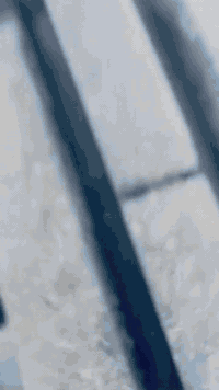 السلام عليكم حبايب دراجه نامه تعمير الشاصي ارشه والمحرك سيجي والباقي كله اصلي والدراجه كفاله عامه وشراي يدلل (***********)
