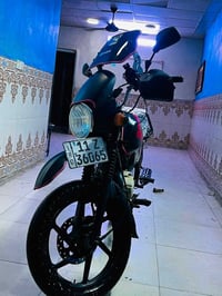 بوكسر جبلي • مرقم إنكليزي • ٢٠٢٣
