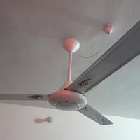 بنكات • ٣قطع • شغاله