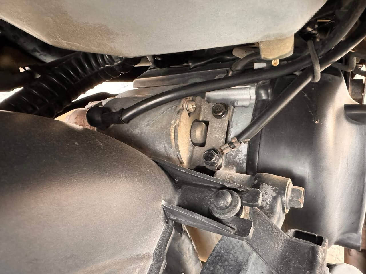 دراجة بريز بغبغاء رمبة جديد مكاني بغداد الكرخ  رقمي ***********
