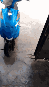 من رخصت الادمن للبيع سعر 500 وبيهه مجال قليل رقم الهاتف 07800033319