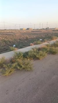 سند باسمك • ٢٢٥م • اللؤلؤة