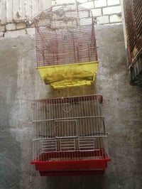 قفصين • نجف • مكتب رشيد