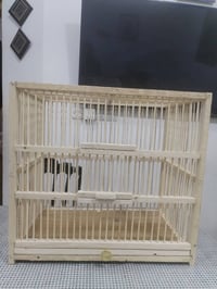 اقفاص • الزعفرانية • صغير وكبير