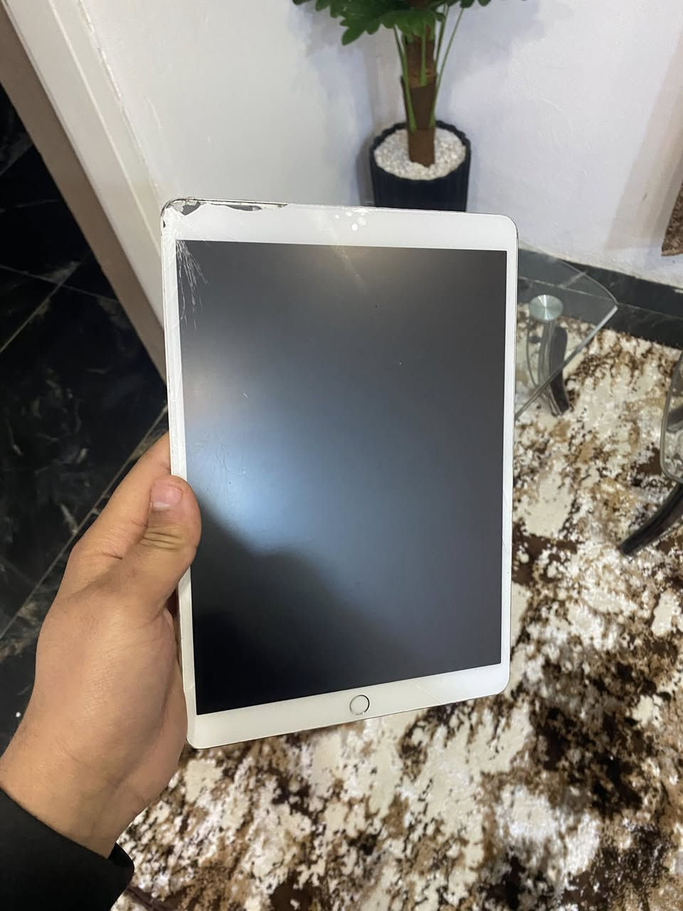 ايباد برو 10.5
ذاكر 64 

شاشه 120 هيرتز

ببجي اقو 60فريمHDR

اربع سماعات ستيريو

بطاريه 71

نضافه85

عيوب الجهاز فقط بل كلاس مماثر +حساب ايكلود ناسي رمز ماله بس كدر ضيف حساب ثاني وتستخدموً طبيعي واذ تريد تزيل حساب ما يكلف ١٠ سعار جهاز 195 وبي مجال بسيط يرهمً مروسه بايفون فقط


**إذا كنت صاحب هذا الإعلان وتريد حذفه لأي سبب، رجاءا أرسل رسالة إلى الدعم الفني**